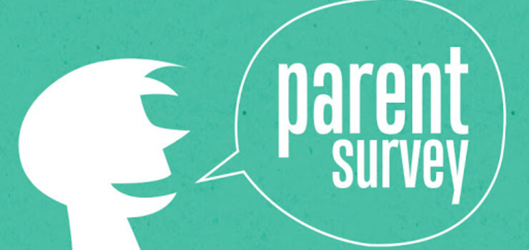 Image of Parent/Carer Survey 2020 Results